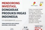 Mendorong Investasi, Dongkrak Produksi Migas Indonesia
