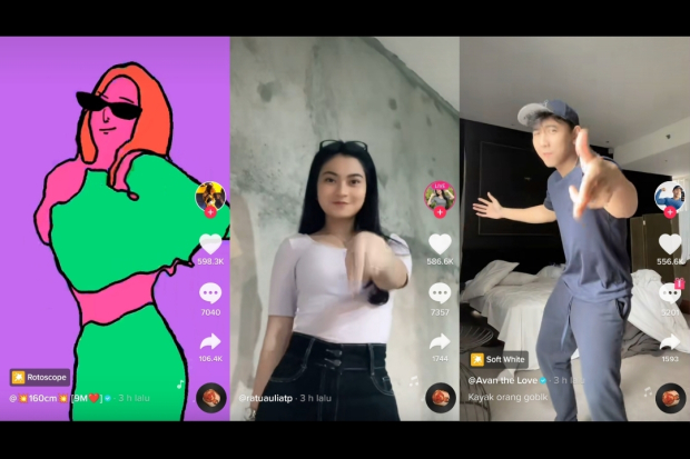 Artis TikTok