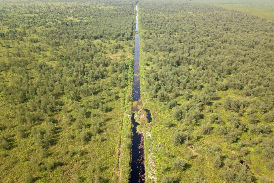 Foto udara kawasan Hutan Lindung Gambut (HLG) Sungai Londerang (kiri) yang ditumbuhi tanaman akasia dan kawasan hutan konsesi PT Wirakarya Sakti (WKS) (kanan) di Muara Sabak Barat, Jambi, Selasa (19/4/2022).