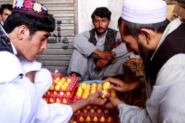 Tokhm Jangi Afghanistan