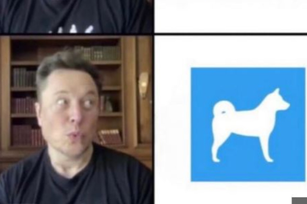 Meme Elon Musk 4