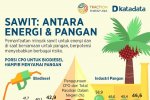 Minyak sawit yang dimanfaatkan untuk pangan dan bahan baku biodiesel berpotensi mengalami kelangkaan di masa depan jika tidak dilakukan diversifikasi 