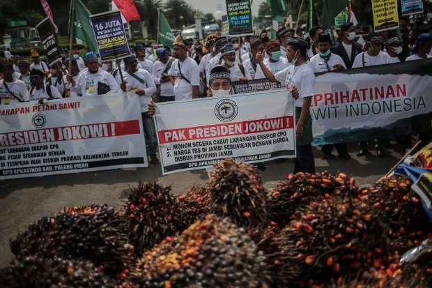 Asosiasi Petani Kelapa Sawit Indonesia (APKASINDO) melakukan aksi unjuk rasa di wilayah Patung Kuda, Jakarta, Selasa, (17/5/2022). Dalam aksi tersebut mereka menuntut pemerintah untuk mencabut larangan ekspor minyak goreng dan CPO yang diduga menyebabkan 