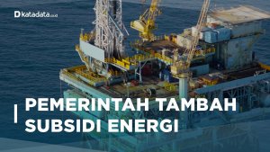 Erick Thohir Subsidi Energi