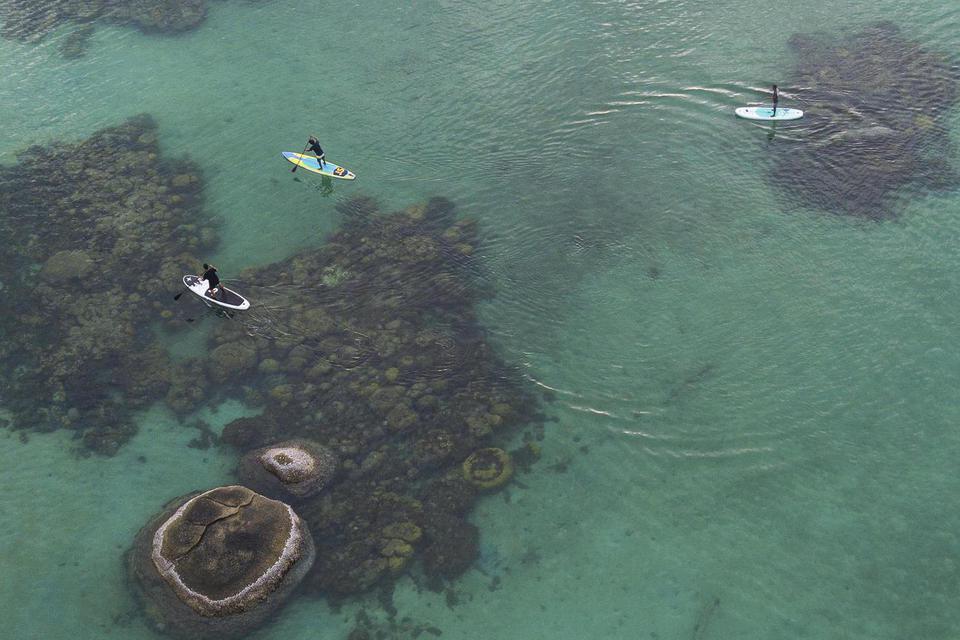 Foto udara sejumlah wisatawan beolahraga stand up paddle di Pantai Tanjung Tinggi, Belitung, Kepulauan Bangka Belitung, Sabtu (21/5/2022). 
