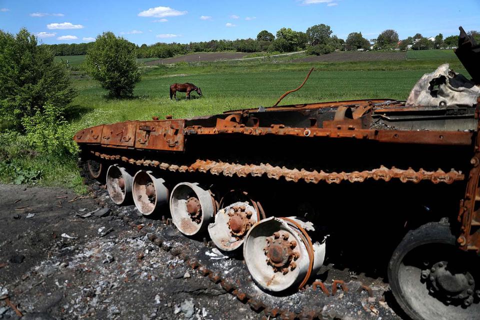 Ivan Alvarado Seekor kuda merumput di samping tank Rusia yang hancur, saat serangan Rusia ke Ukraina terus berlanjut, di Chupakhivka, Ukraina, Selasa (24/5/2022).