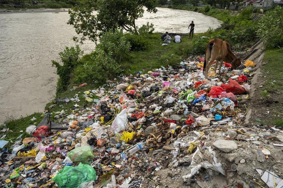 Seekor sapi mencari makan di bantaran Sungai Palu yang dijadikan tempat pembuangan sampah di Kelurahan Tatura Selatan, Palu, Sulawesi Tengah, Jumat (27/5/2022). Perilaku membuang sampah di sembarang tempat membuat Pemerintah Kota Palu harus berkeja keras 