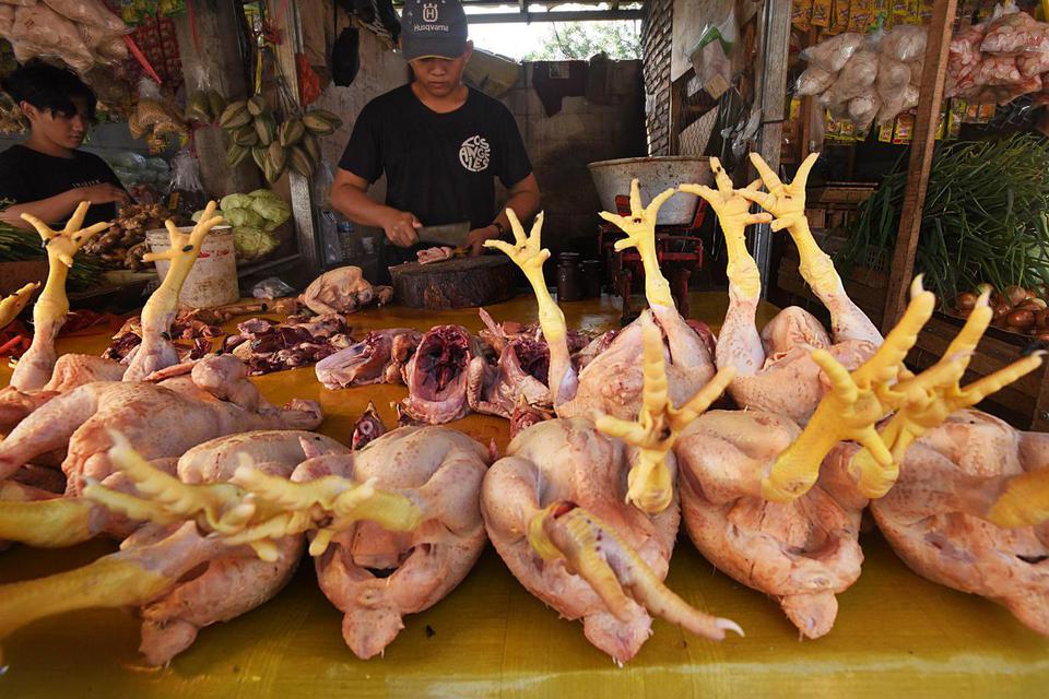 Pedagang daging ayam melayani pembeli di Pasar Induk Rau, Serang, Banten, Selasa (7/6/2022). Harga sejumlah bahan pokok mulai naik sejak akhir pekan lalu seperti harga ayam ras dari Rp31 ribu menjadi Rp39 ribu per kg, cabai rawit merah dari Rp49 ribu menj