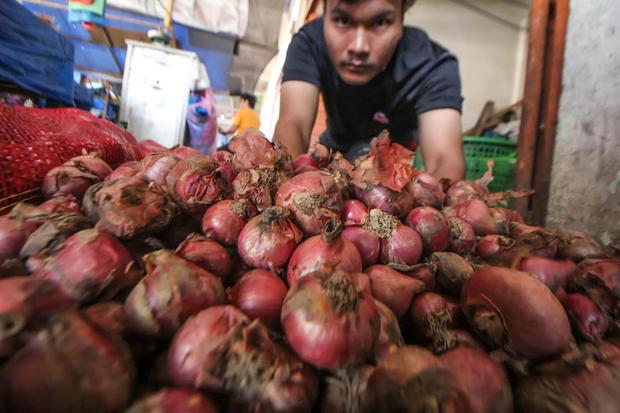 Pedagang membersihkan kulit bawang merah di pasar tradisional Kota Lhokseumawe, Aceh, Rabu (8/6/2022). Menurut pedagang, harga bawang merah melonjak dari Rp32.000 per kilogram menjadi Rp60.000 per kilogram yang dipicu sedikitnya pasokan dan persediaan ba