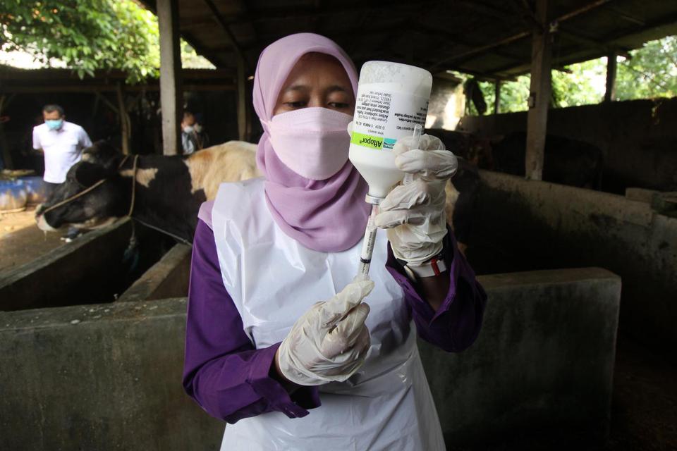 Dokter hewan dari Pusat Veteriner Farma (Putvetma) Surabaya mempersiapkan vaksin wabah penyakit mulut dan kuku (PMK) untuk sapi di kandang kawasan Taman, Sepanjang, Sidoarjo, Jawa Timur, Selasa (14/6/2022). Kementan melalui Pusvetma di Surabaya melakukan 