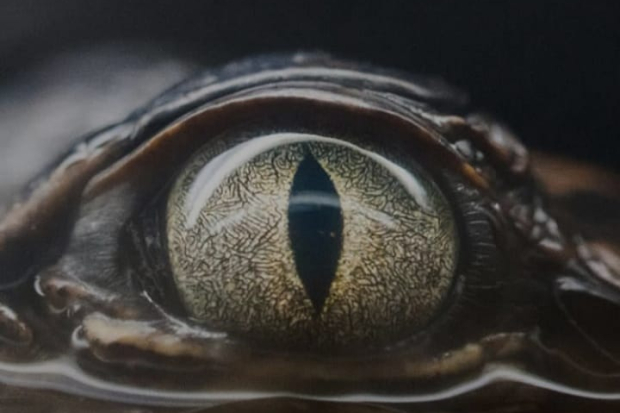 Lirik Lagu Glimpse of Us