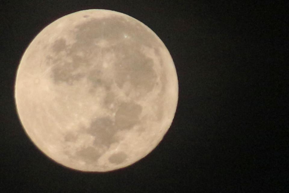 Supermoon malam ini, supermoon emas, beaver moon,