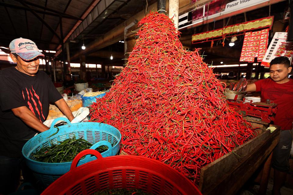 Pedagang menata cabai merah yang dijajakan di pasar tradisional Lambaro, Aceh Besar, Aceh, Jumat (17/6/2022). Petugas Dinas Pertanian dan Perkebunan Aceh menyebutkan kenaikan harga cabai merah dari Rp35 ribu hingga Rp90 ribu lebih per kilogram sejak beber