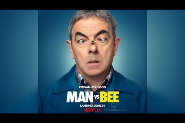 Man vs Bee