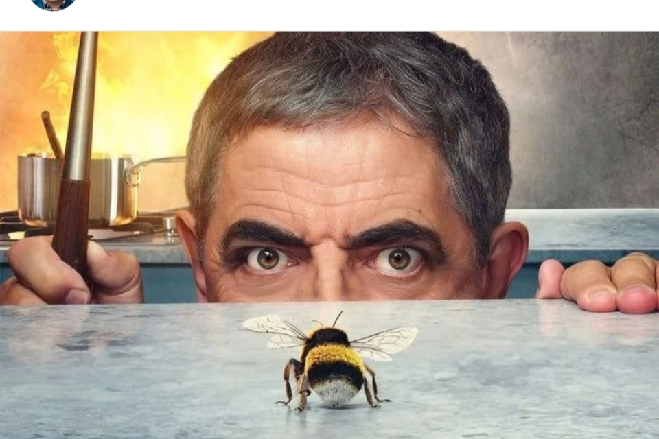 Man vs Bee