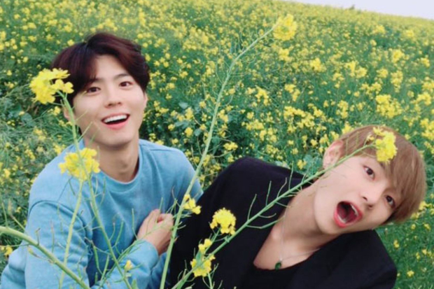 V BTS dan Park Bo Gum di Pulau Jeju