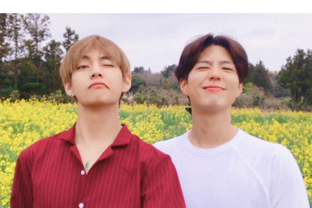 V BTS dan Park Bo Gum