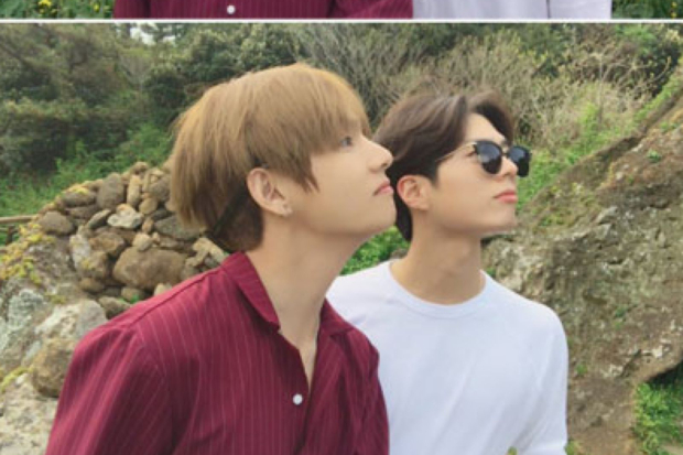 V BTS dan Park Bo Gum