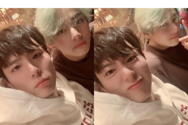 V BTS dan Park Bo Gum