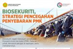 Biosekuriti, Strategi Pencegahan Penyebaran PMK