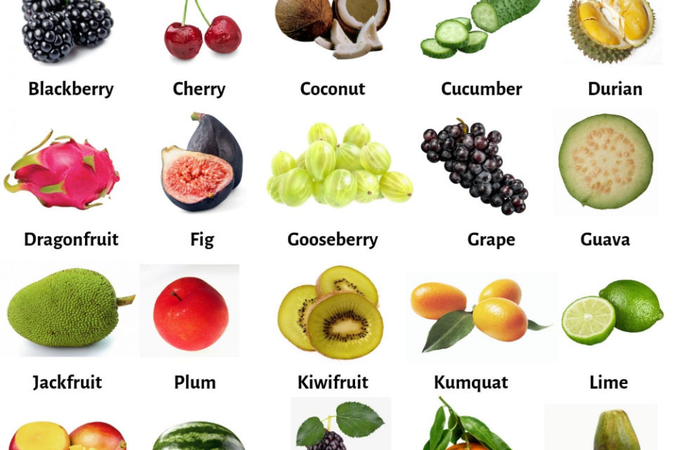 Ilustrasi, nama buah dalam bahasa Inggris