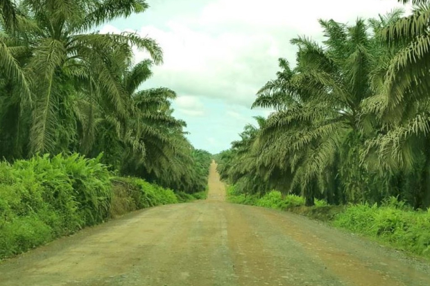 Jhonlin Agro Raya