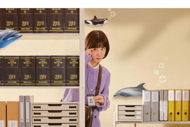 Extraordinary Attorney Woo