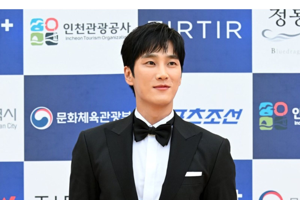 Ahn Bo Hyun di Blue Dragon Series Awards 2022