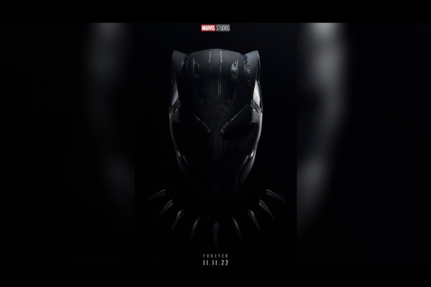 Black panther: Wakanda Forever