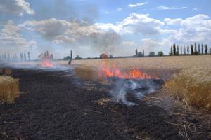 UKRAINE-CRISIS/GRAIN