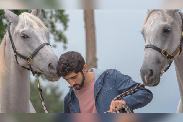 Prince Fazza, Pangeran Dubai