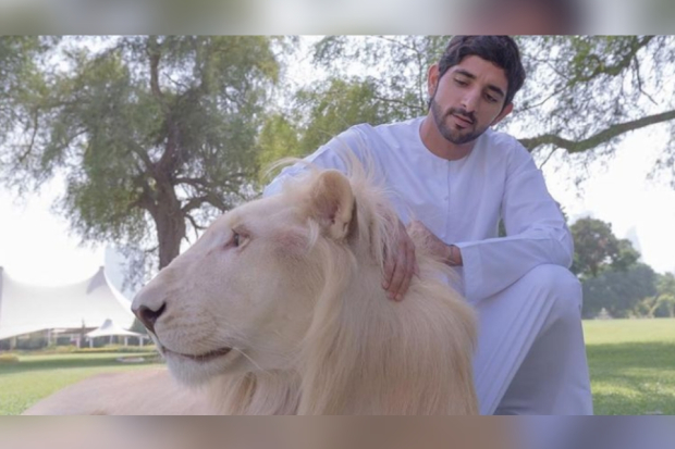 Prince Fazza, Pangeran Dubai