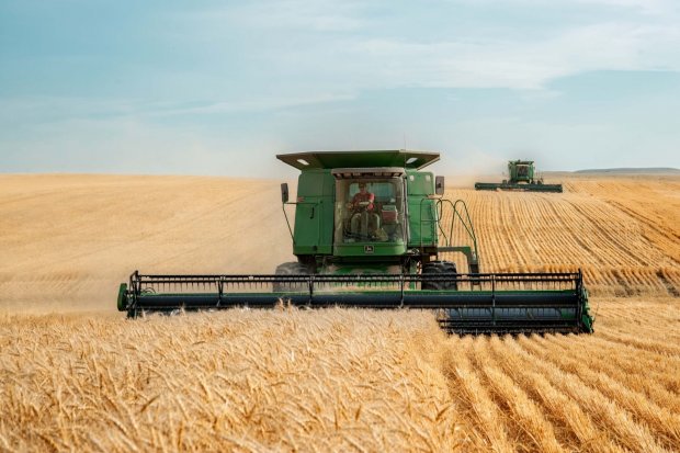 Ilustrasi, panen gandum di Amerika Serikat, salah satu negara penghasil gandum terbesar di dunia