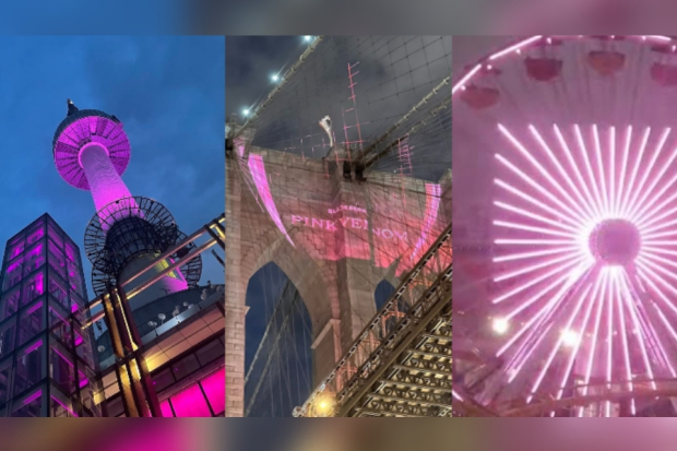 Proyek Light Up The Pink di Seoul, Brooklyn, California