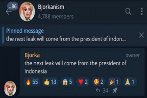 Tangkapan layar pesan hacker Bjorka di Telegram