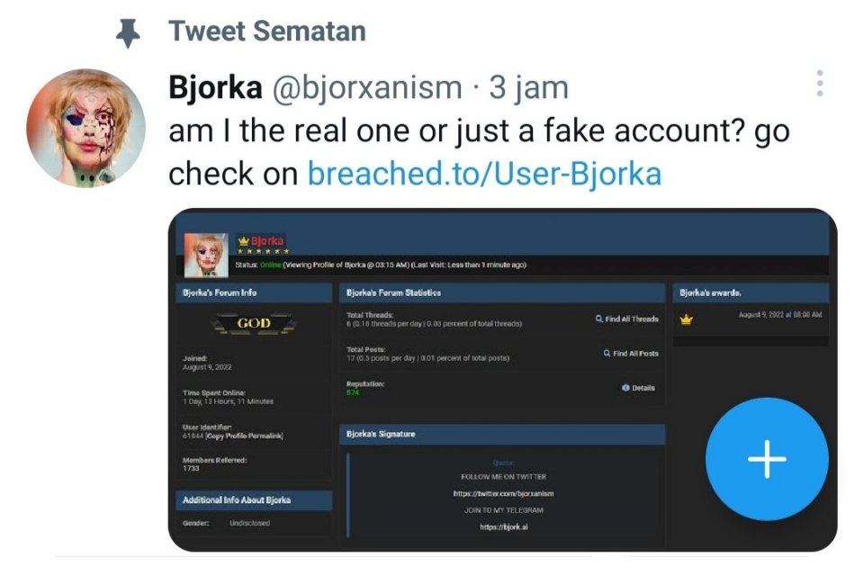 bjorka, hacker, twitter