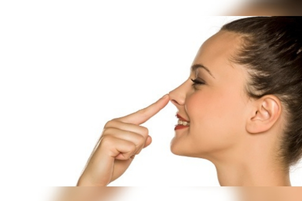 Ilustrasi hidung mancung