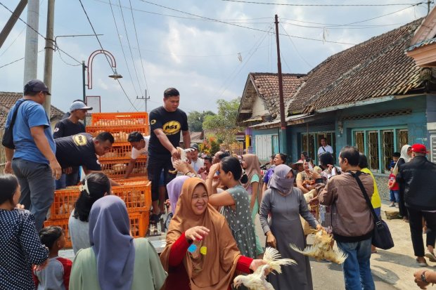 Peternak membagikan ayam gratis ke warga di Malang, Jawa Timur, Kamis (29/9/2022).