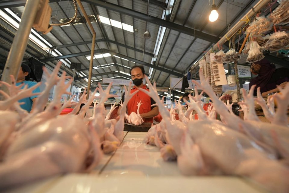 Pedagang Ayam di Pasar Tradisional Sukatani Depok (28/09/2022). 