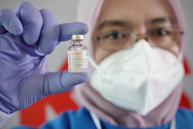 Vaksin Indovac Jadi Bukti Ketahanan Kesehatan Dalam Negeri