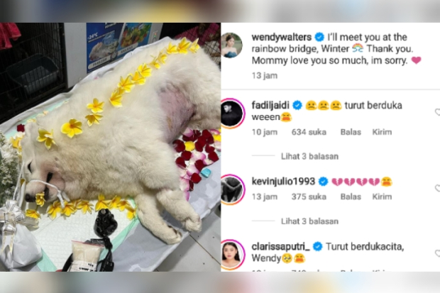 Anjing kesayangan Wendy Walters dan Reza Arap meninggal