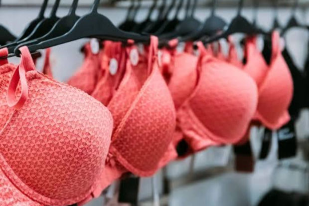 Ilustrasi No Bra Day