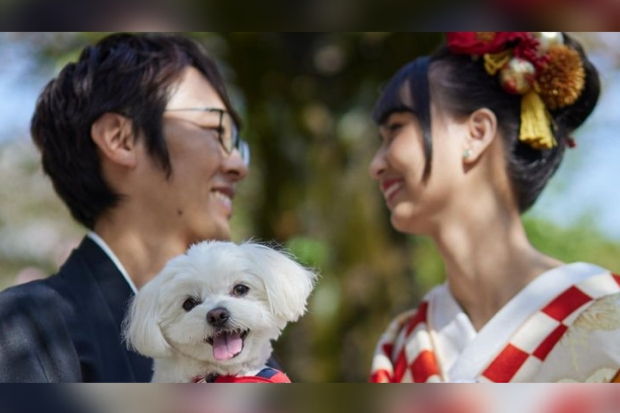 Momen Stefi JKT48 menikah