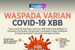 Infografik_Waspada Varian Covid-19 XBB