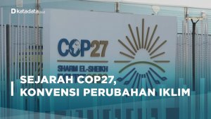 Sejarah COP27, Konvensi Perubahan Iklim