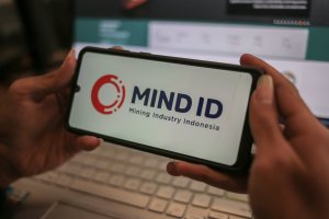 Logo Mind ID