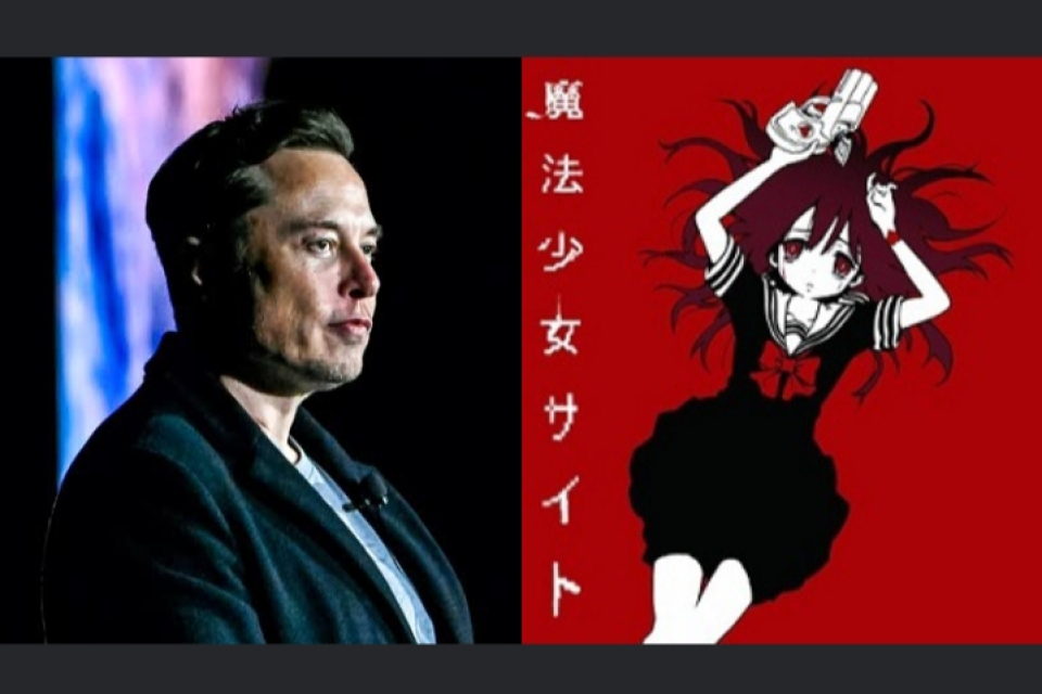 Elon Musk, Komik Magical Girl Site