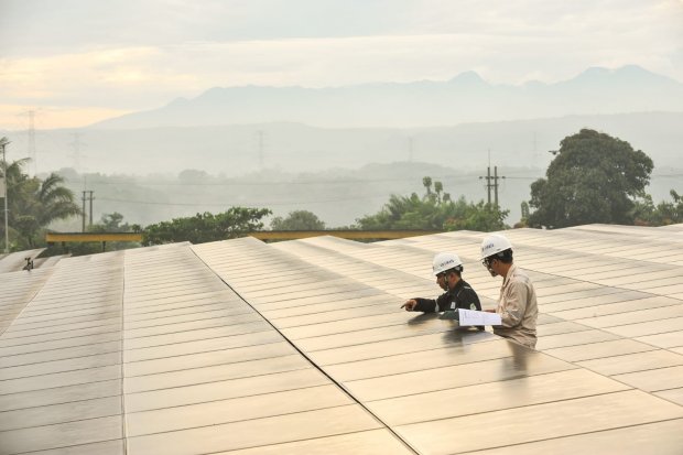 PLN membentuk divisi baru di lingkungan internal perusahaan untuk menunjukkan keseriusannya dalam hal transisi energi.