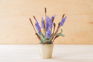 Ilustrasi, bunga lavender.