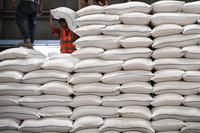 BULOG JAMIN STOK BERAS MENCUKUPI HINGGA AKHIR 2022